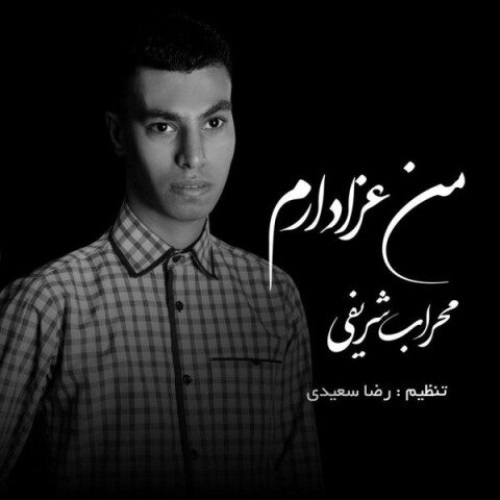 محراب شریفی من عزادارم